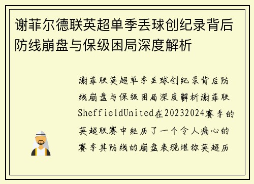 谢菲尔德联英超单季丢球创纪录背后防线崩盘与保级困局深度解析